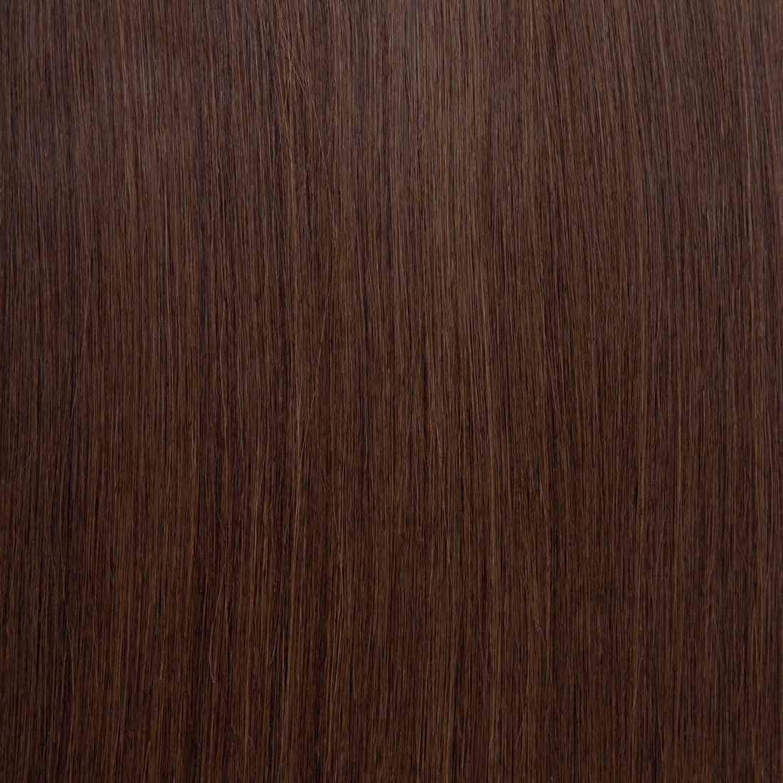 The Macy | Coffee Bean